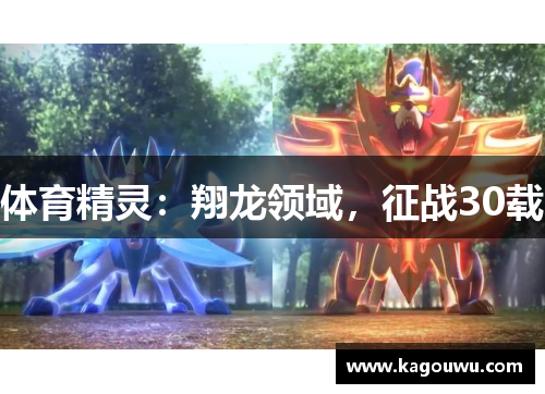 体育精灵：翔龙领域，征战30载